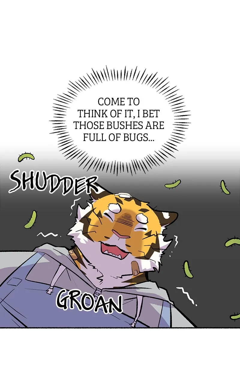 Read Mr. Tiger