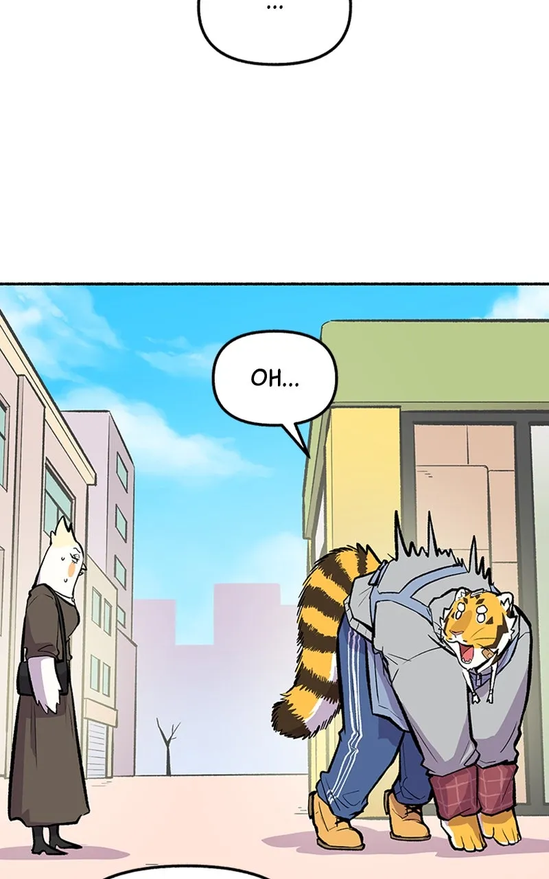 Read Mr. Tiger