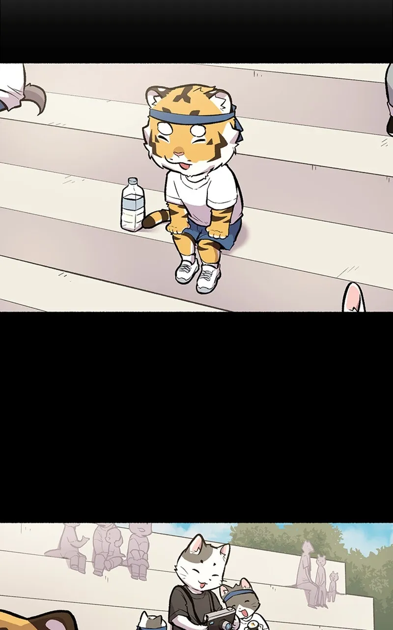Read Mr. Tiger