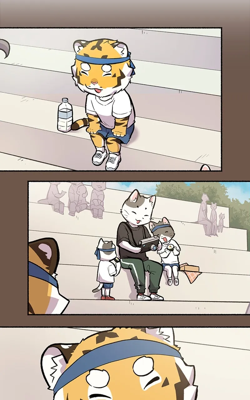 Read Mr. Tiger