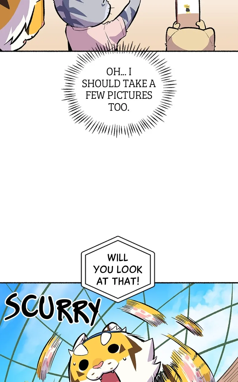 Read Mr. Tiger