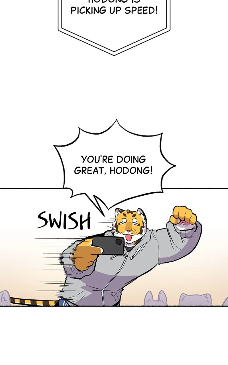 Read Mr. Tiger
