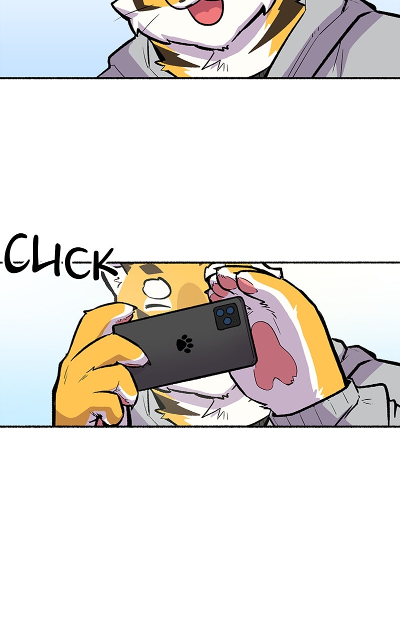 Read Mr. Tiger