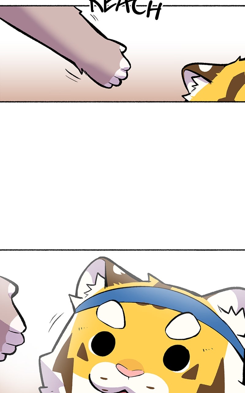 Read Mr. Tiger