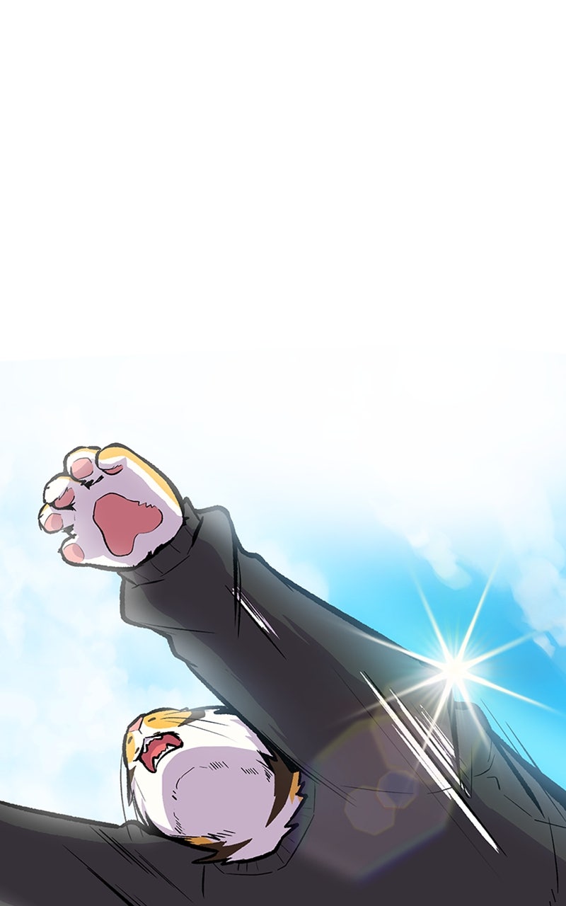Read Mr. Tiger