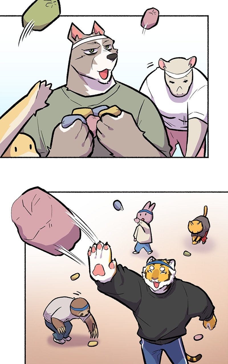 Read Mr. Tiger