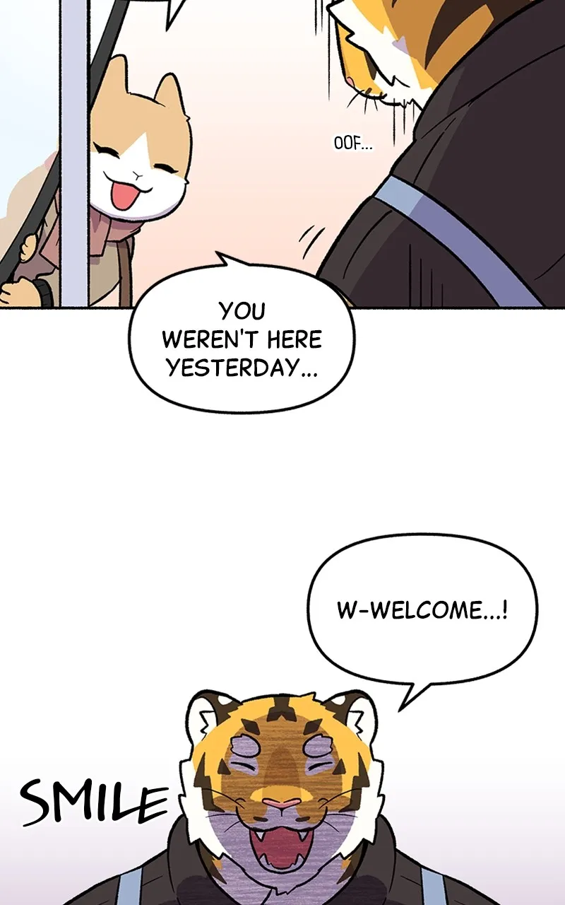 Read Mr. Tiger
