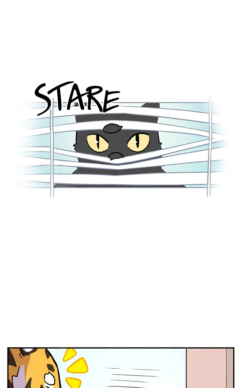 Read Mr. Tiger