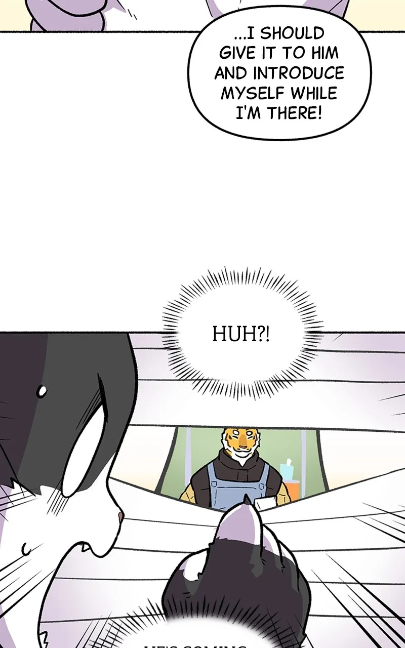 Read Mr. Tiger