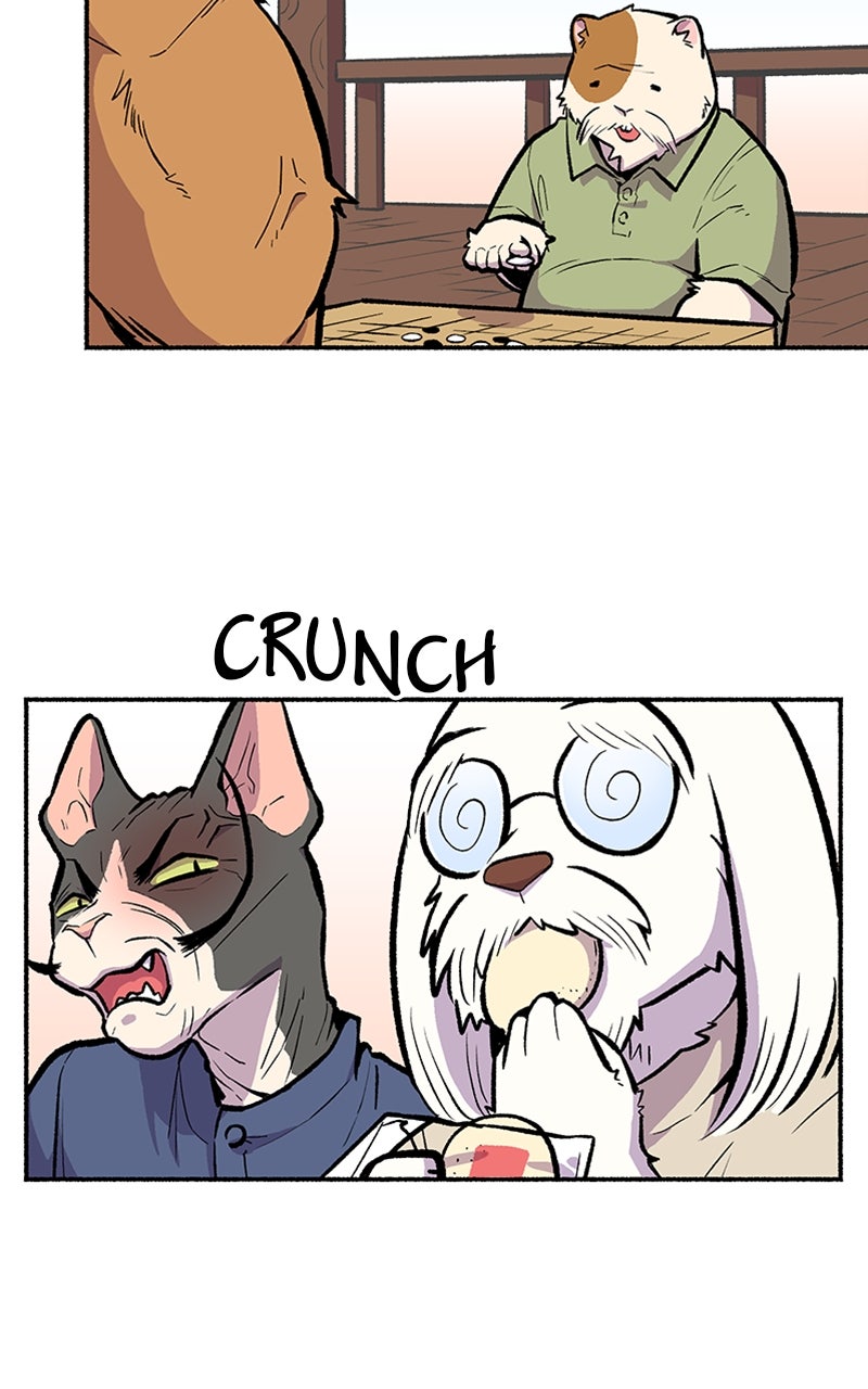 Read Mr. Tiger