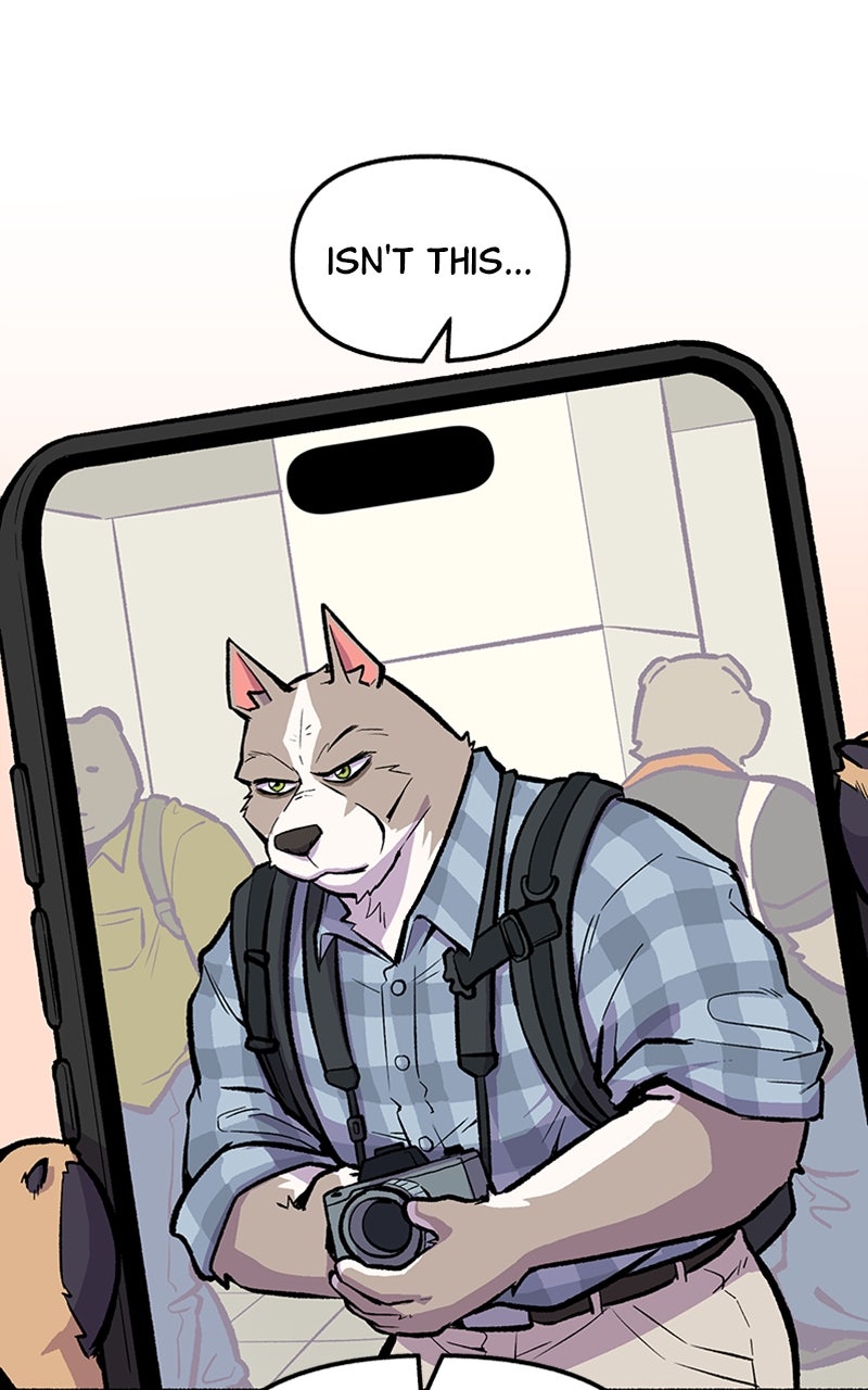 Read Mr. Tiger