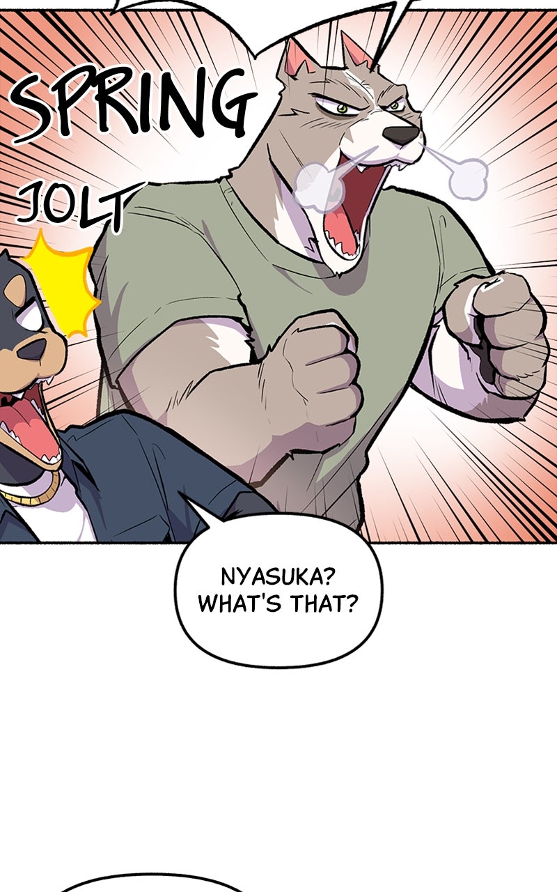 Read Mr. Tiger