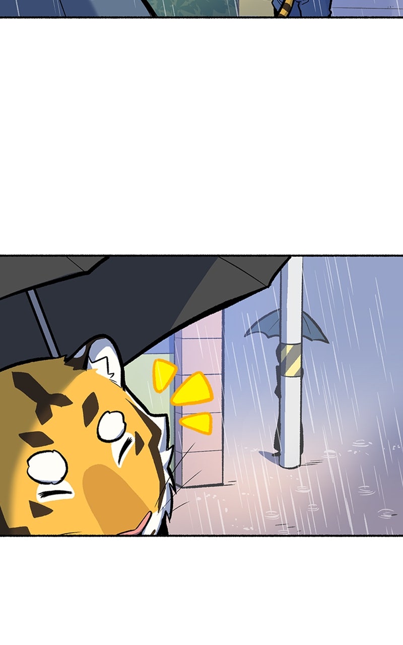 Read Mr. Tiger