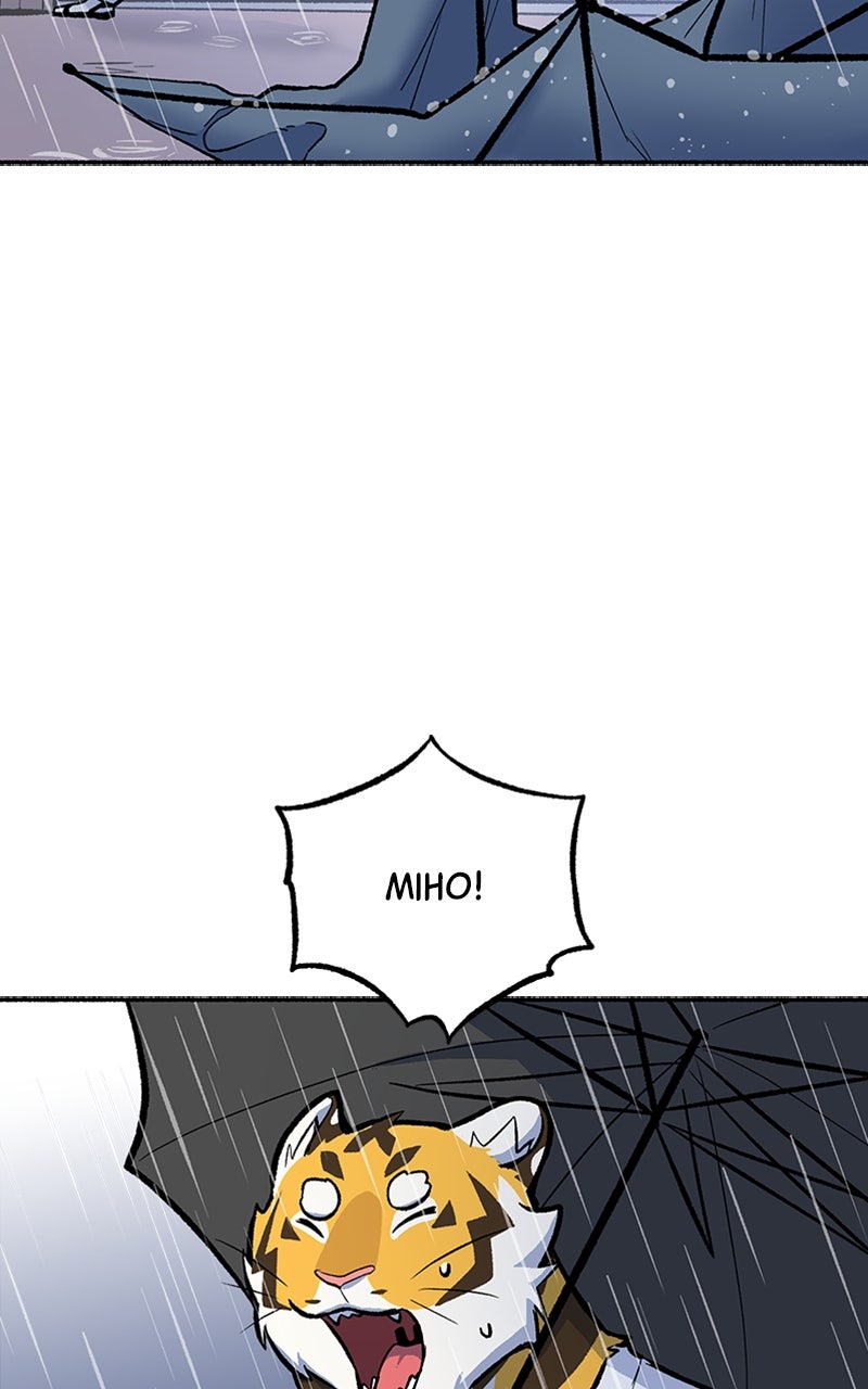 Read Mr. Tiger