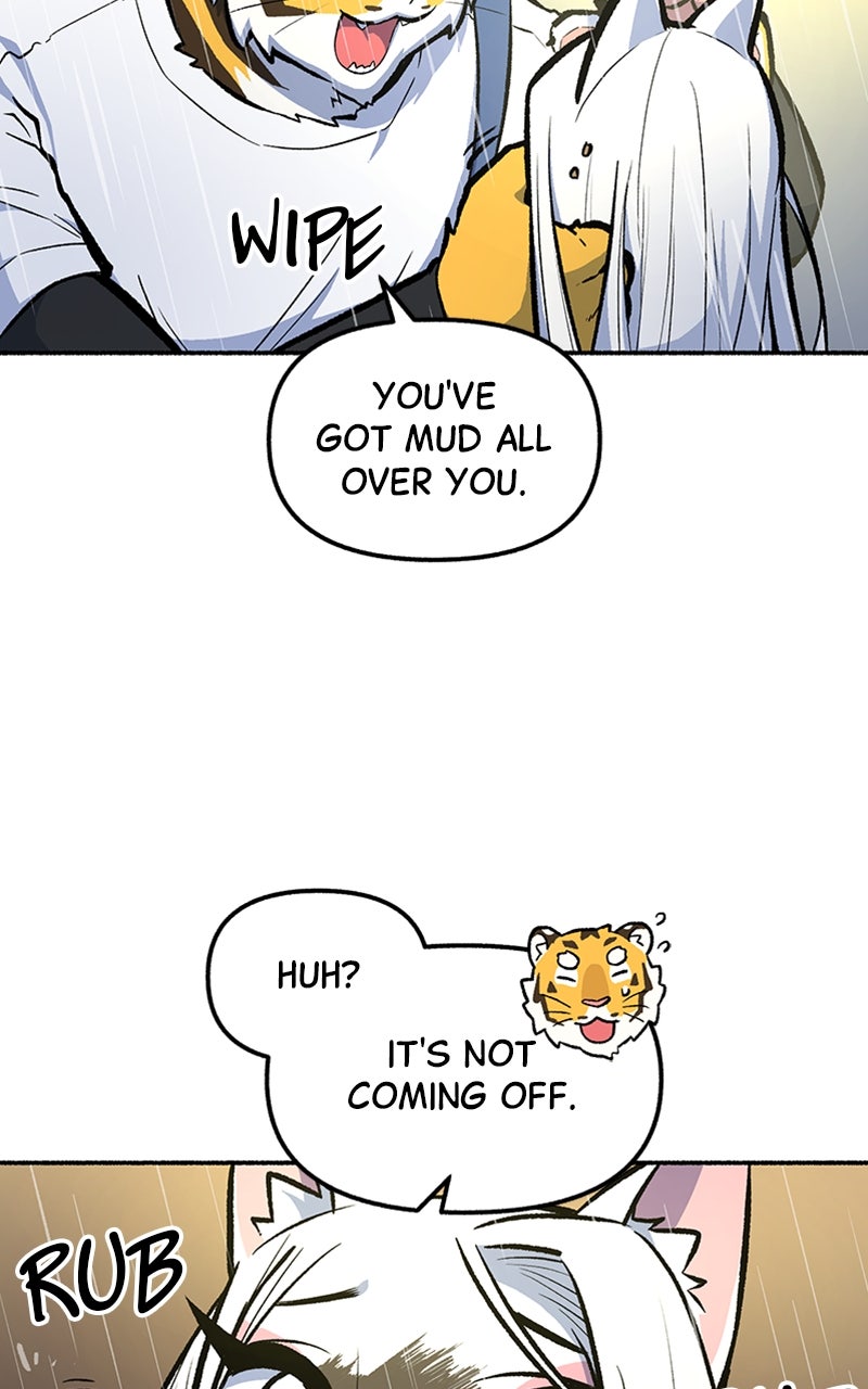 Read Mr. Tiger
