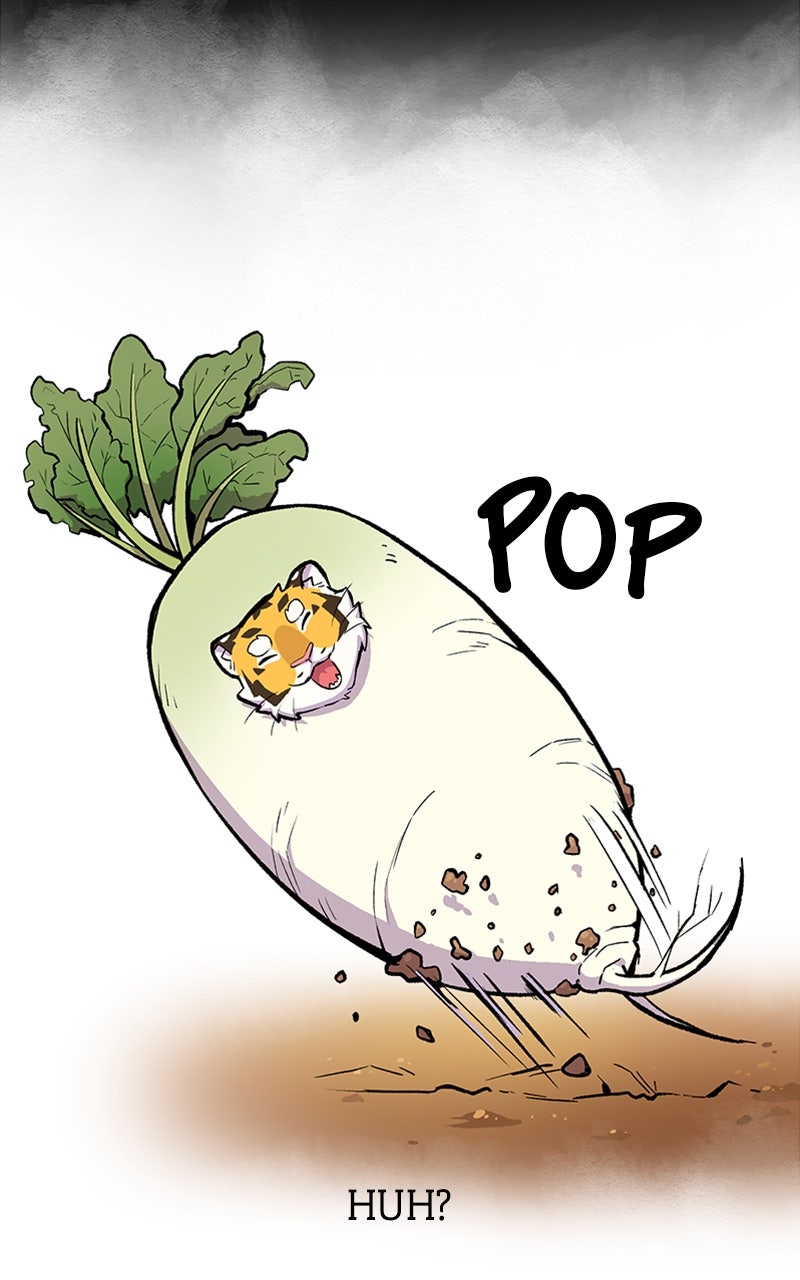 Read Mr. Tiger
