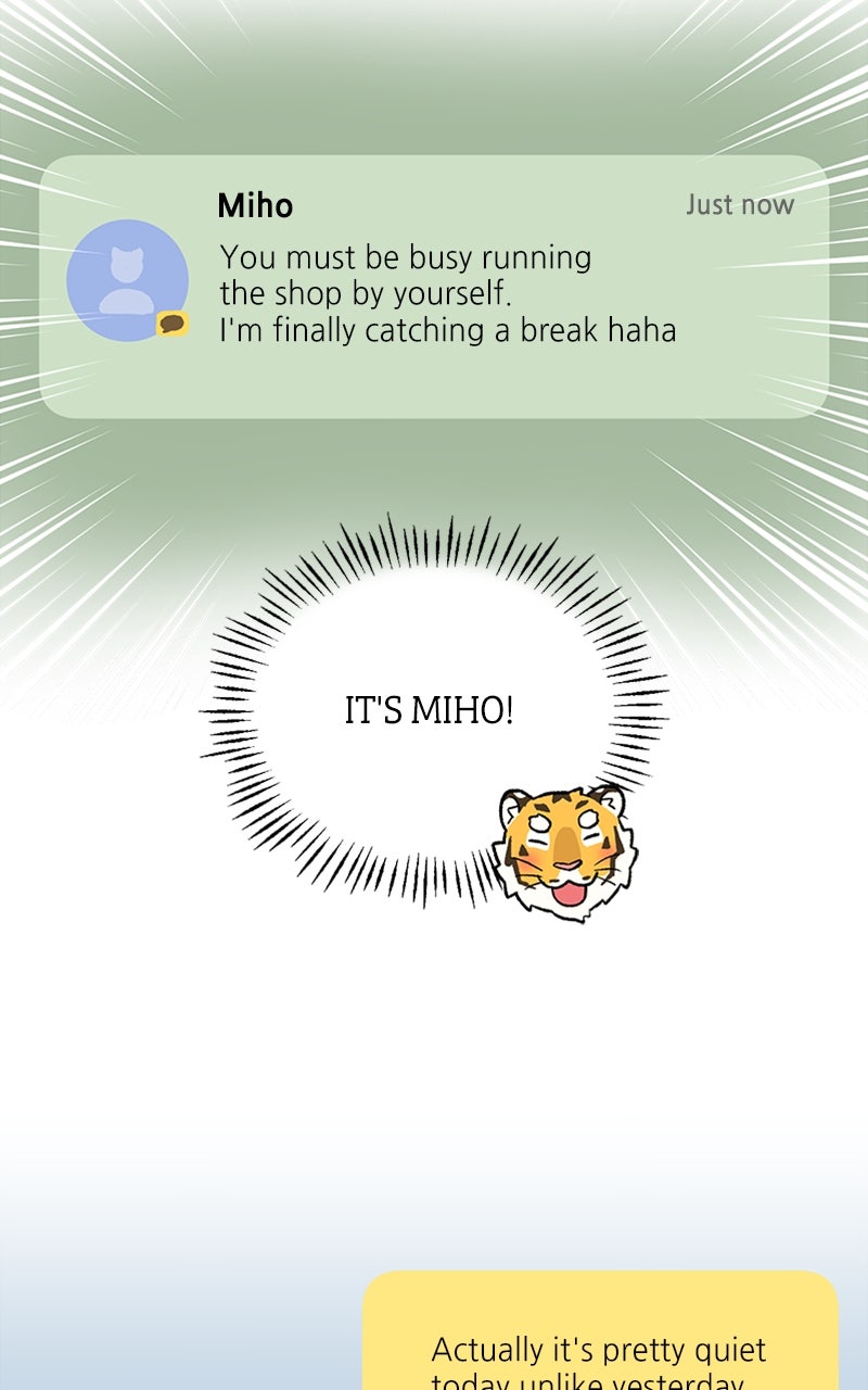 Read Mr. Tiger