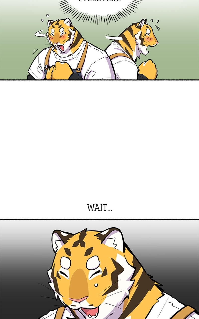 Read Mr. Tiger
