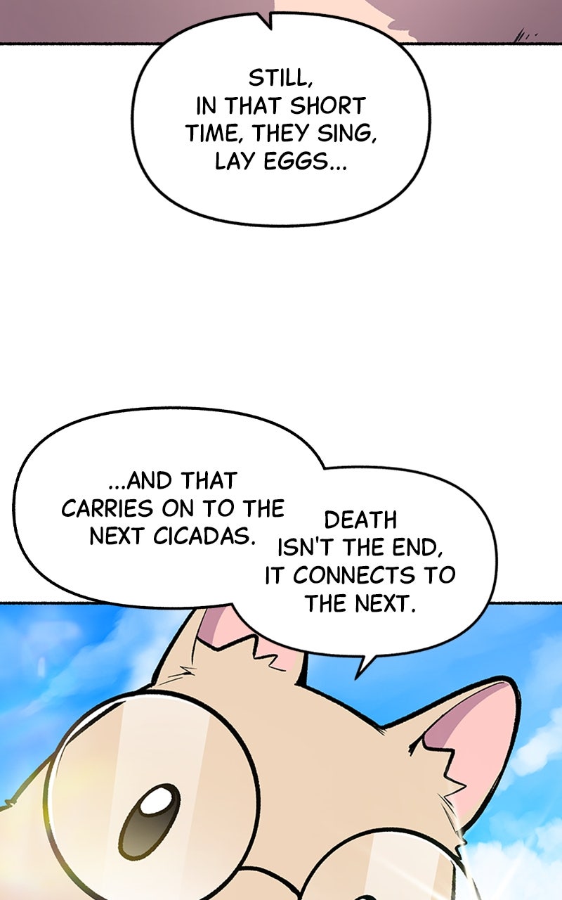Read Mr. Tiger
