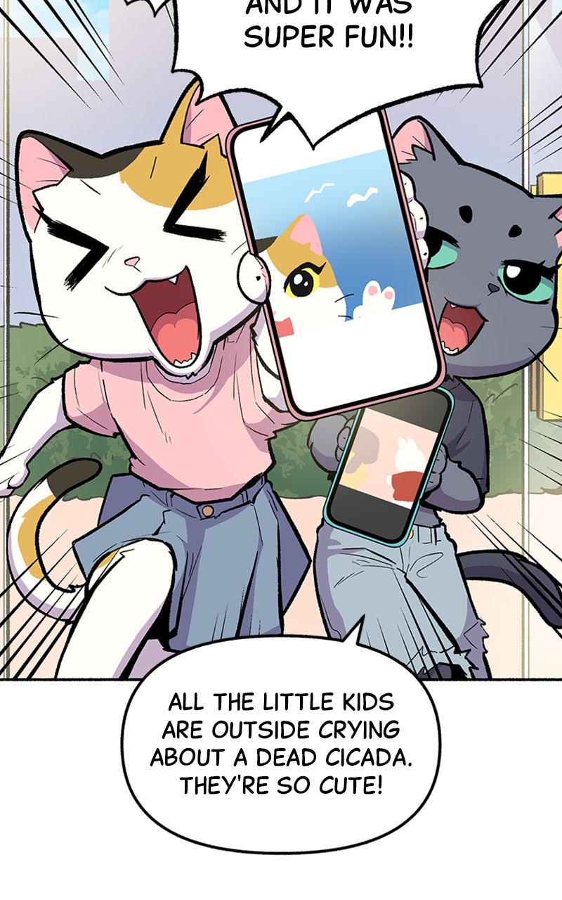 Read Mr. Tiger
