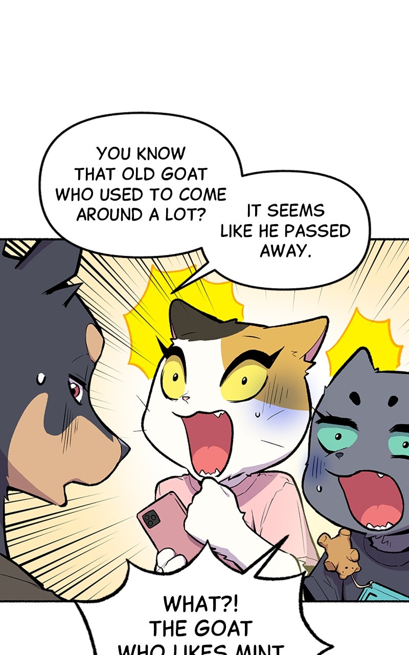 Read Mr. Tiger