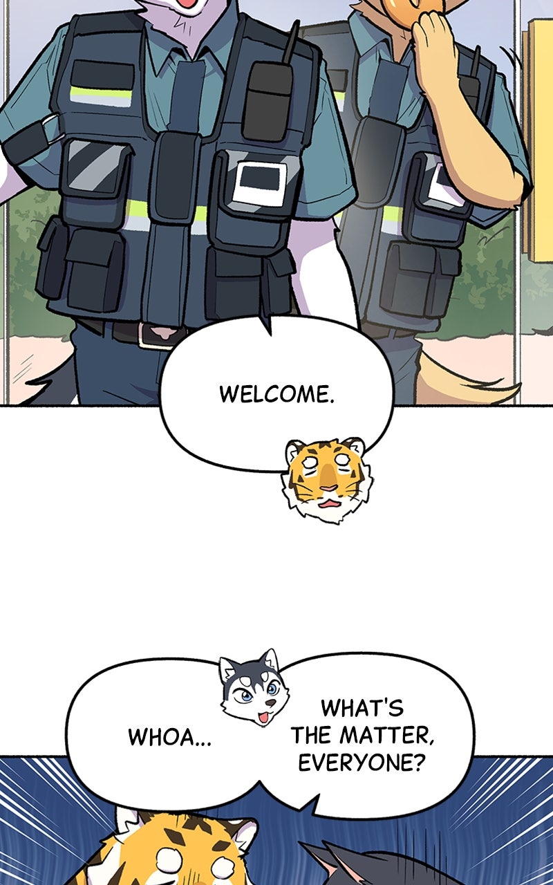 Read Mr. Tiger