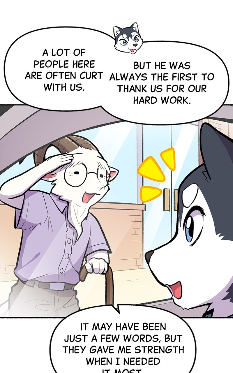 Read Mr. Tiger