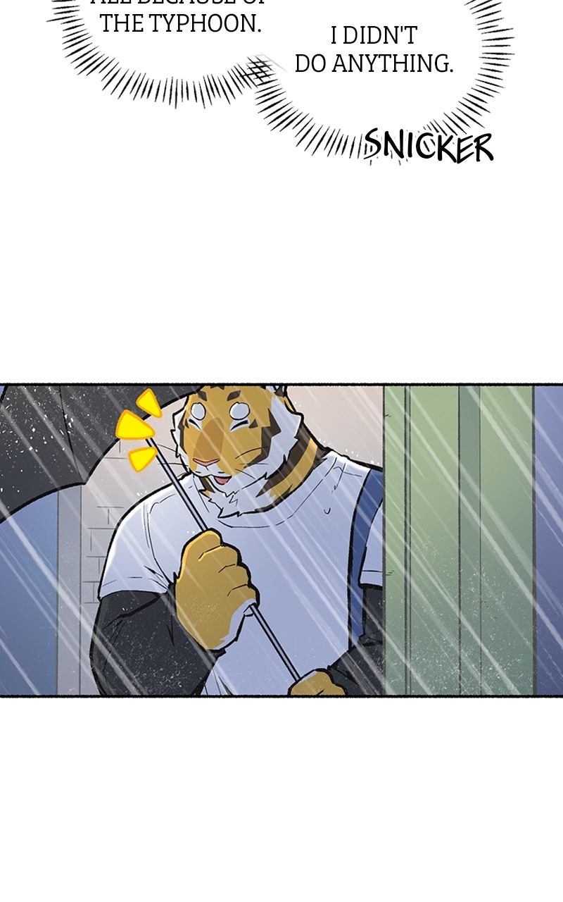 Read Mr. Tiger