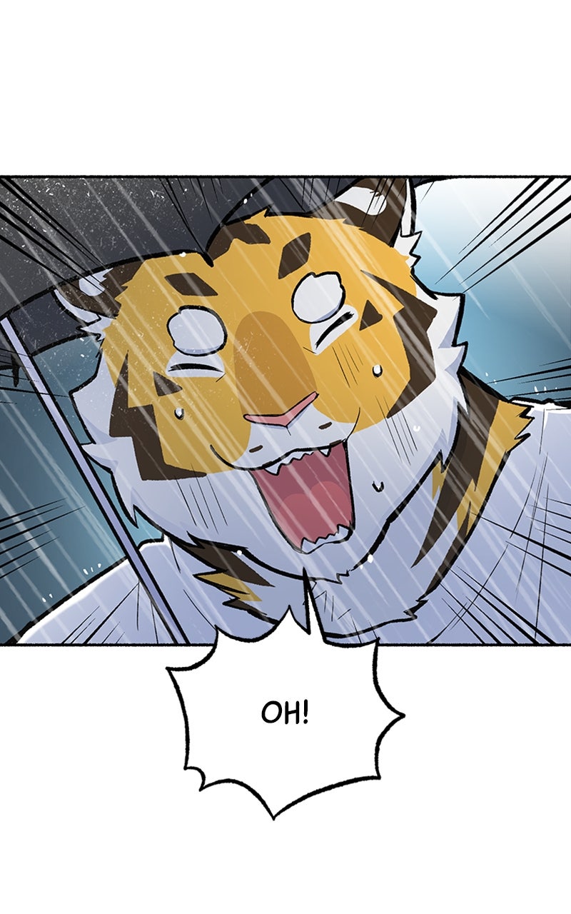 Read Mr. Tiger