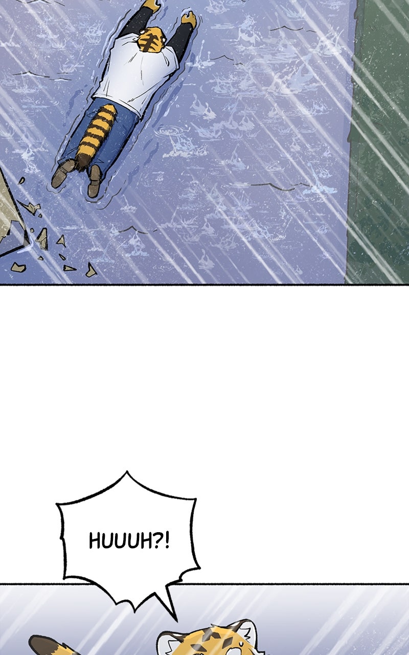 Read Mr. Tiger