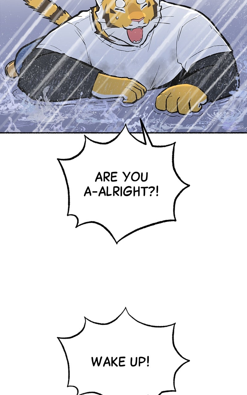 Read Mr. Tiger