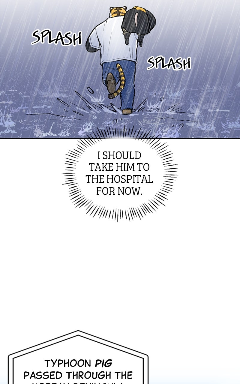 Read Mr. Tiger