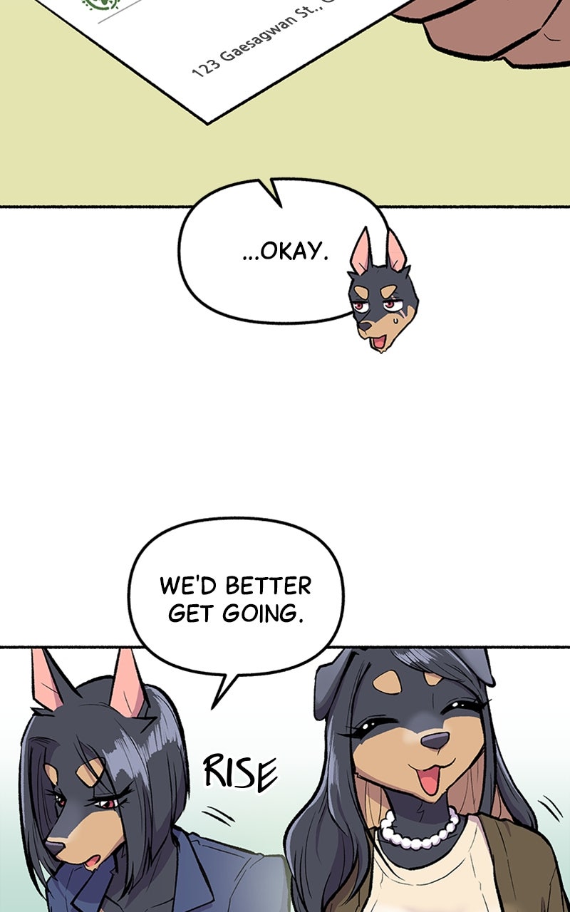 Read Mr. Tiger