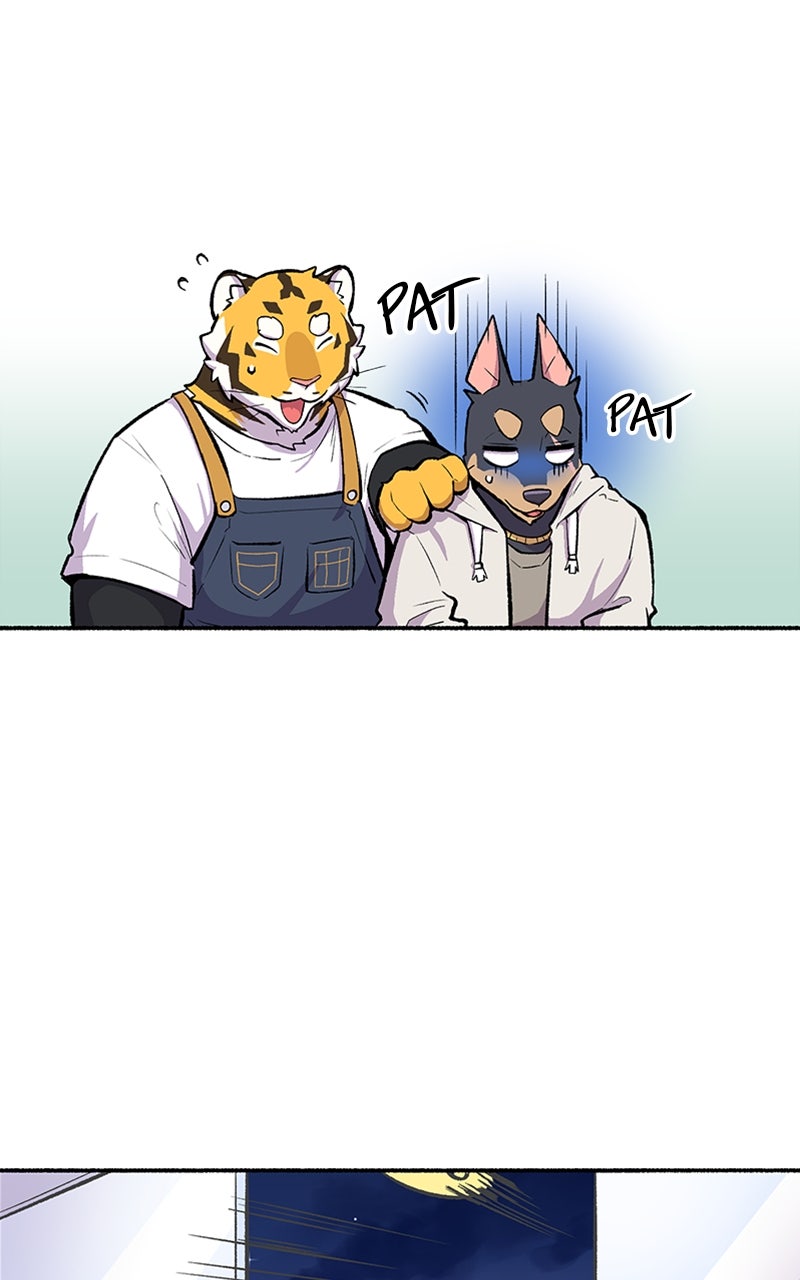 Read Mr. Tiger