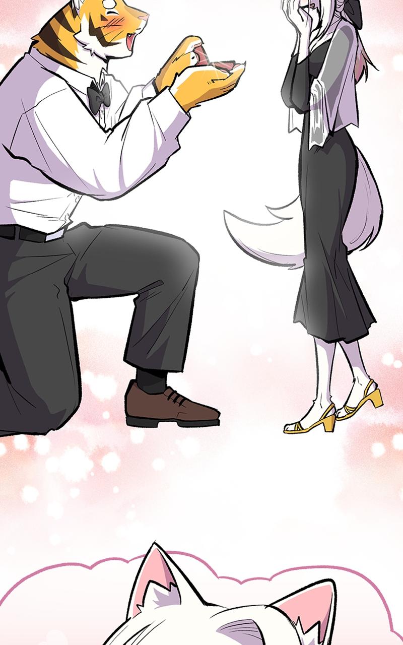 Read Mr. Tiger