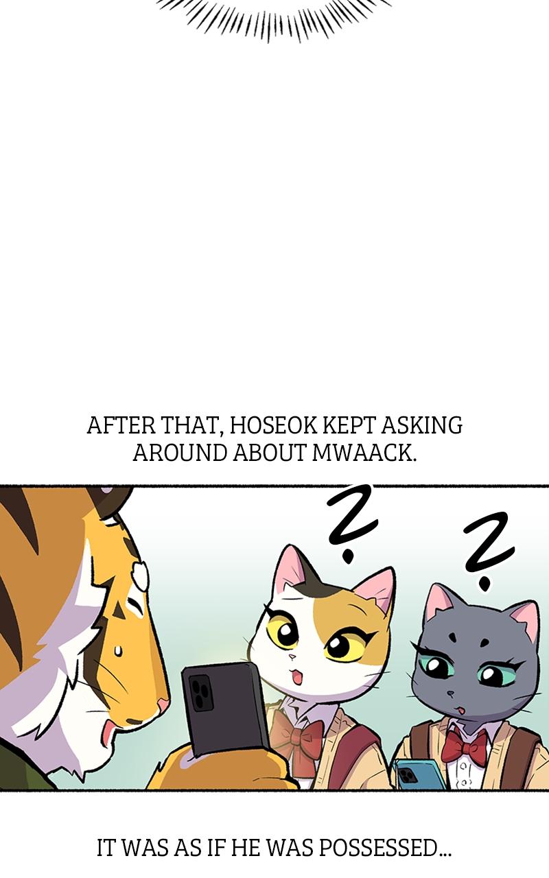 Read Mr. Tiger
