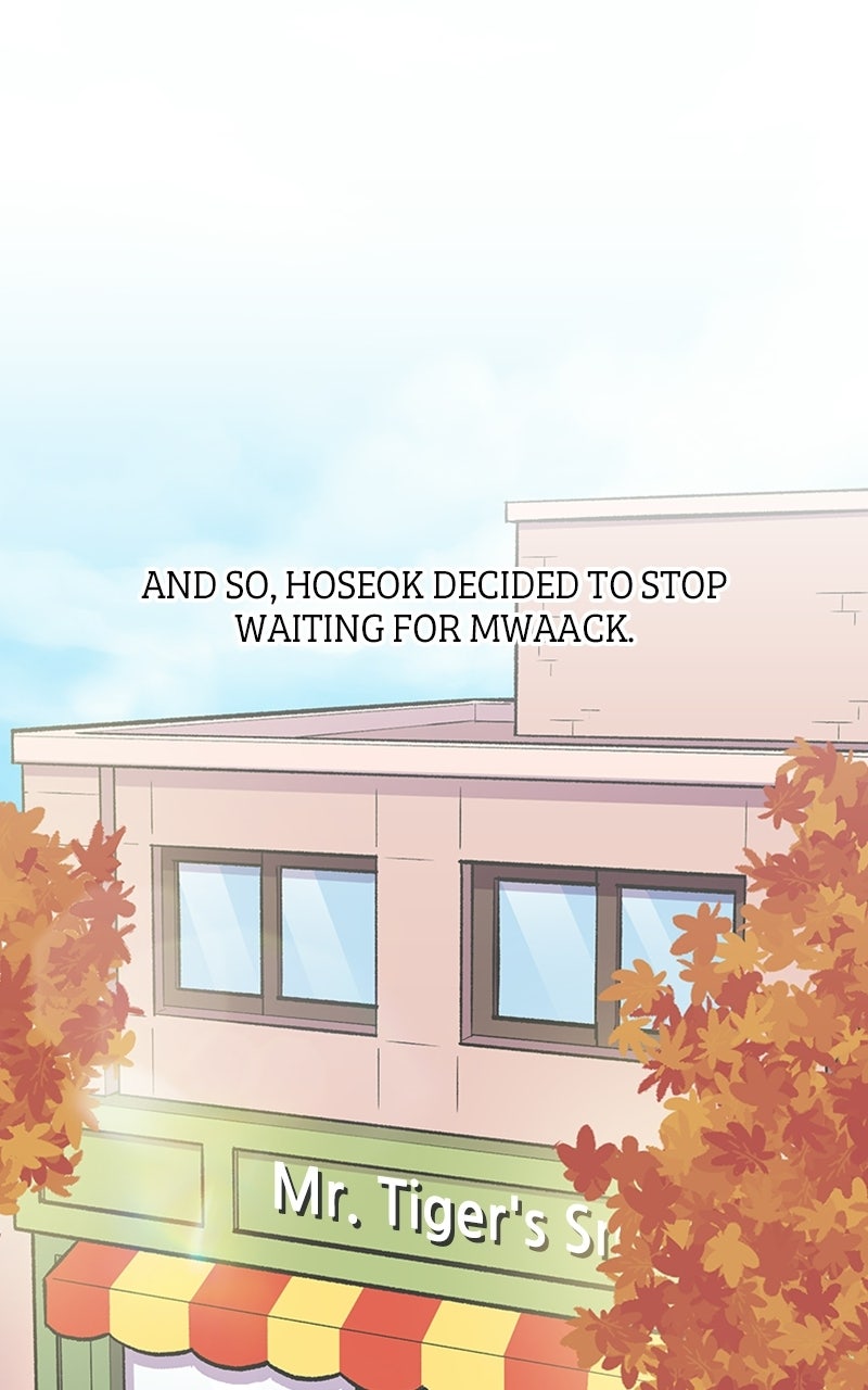 Read Mr. Tiger