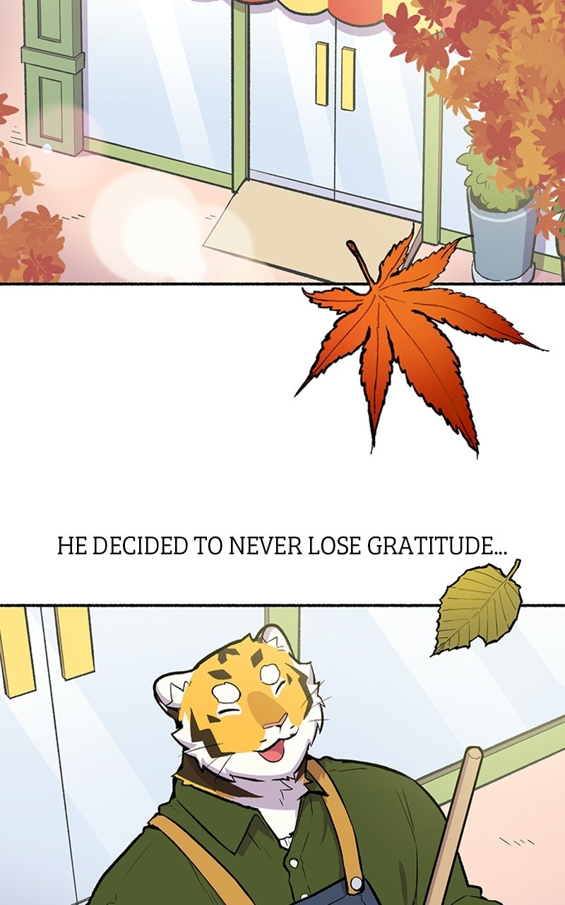 Read Mr. Tiger