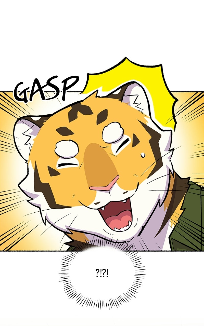 Read Mr. Tiger