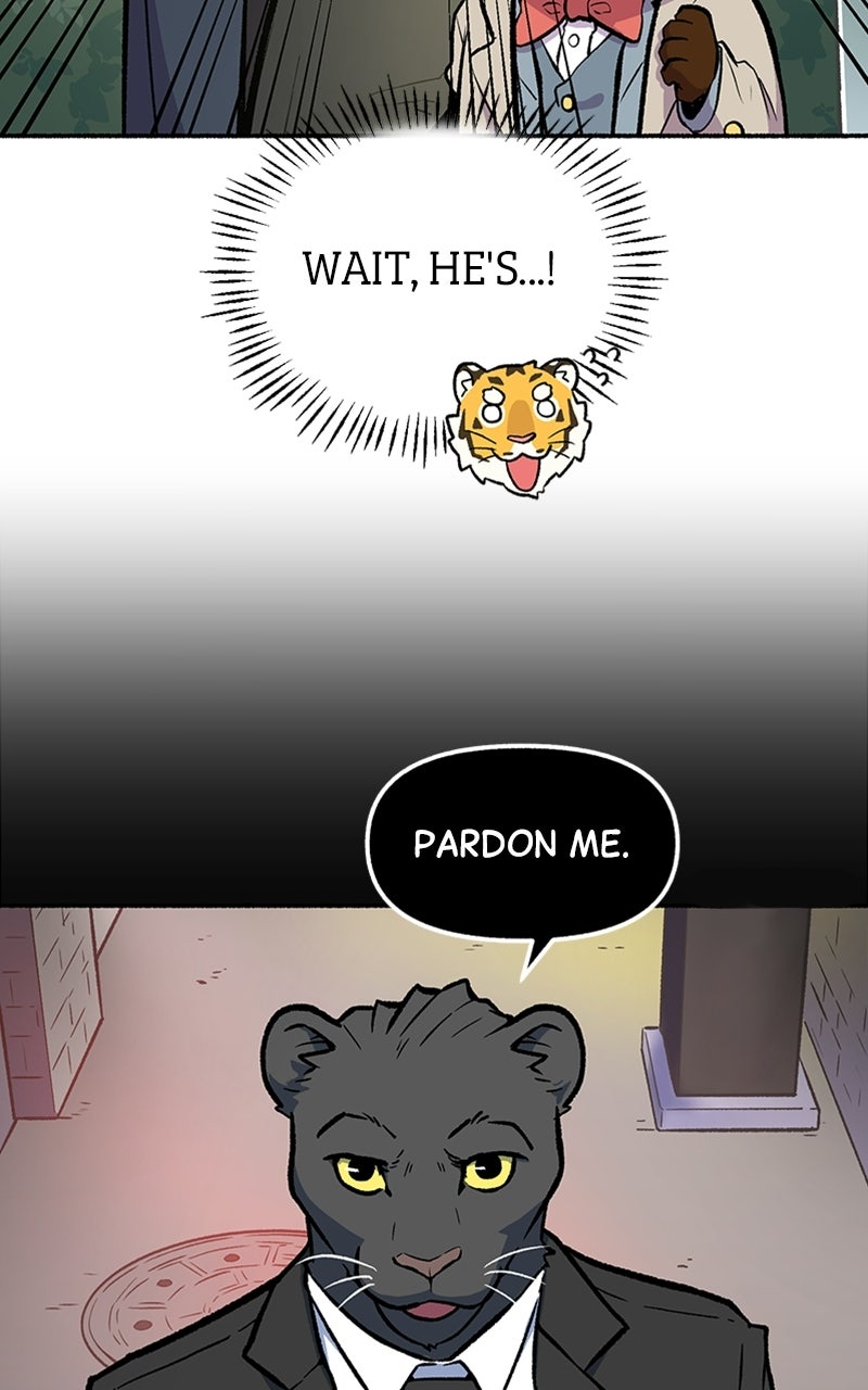 Read Mr. Tiger