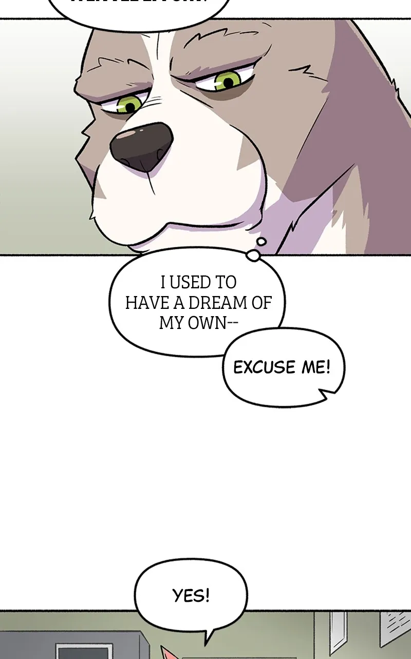 Read Mr. Tiger