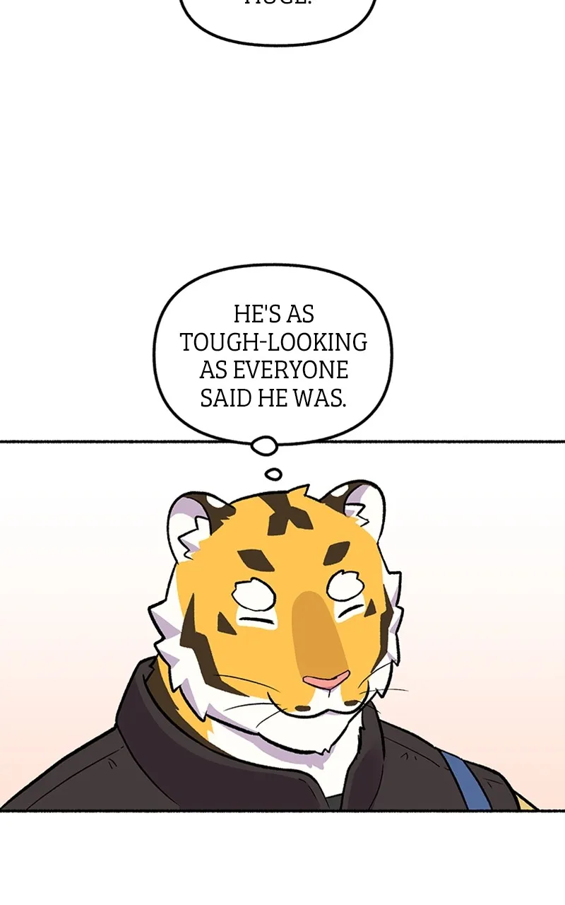 Read Mr. Tiger