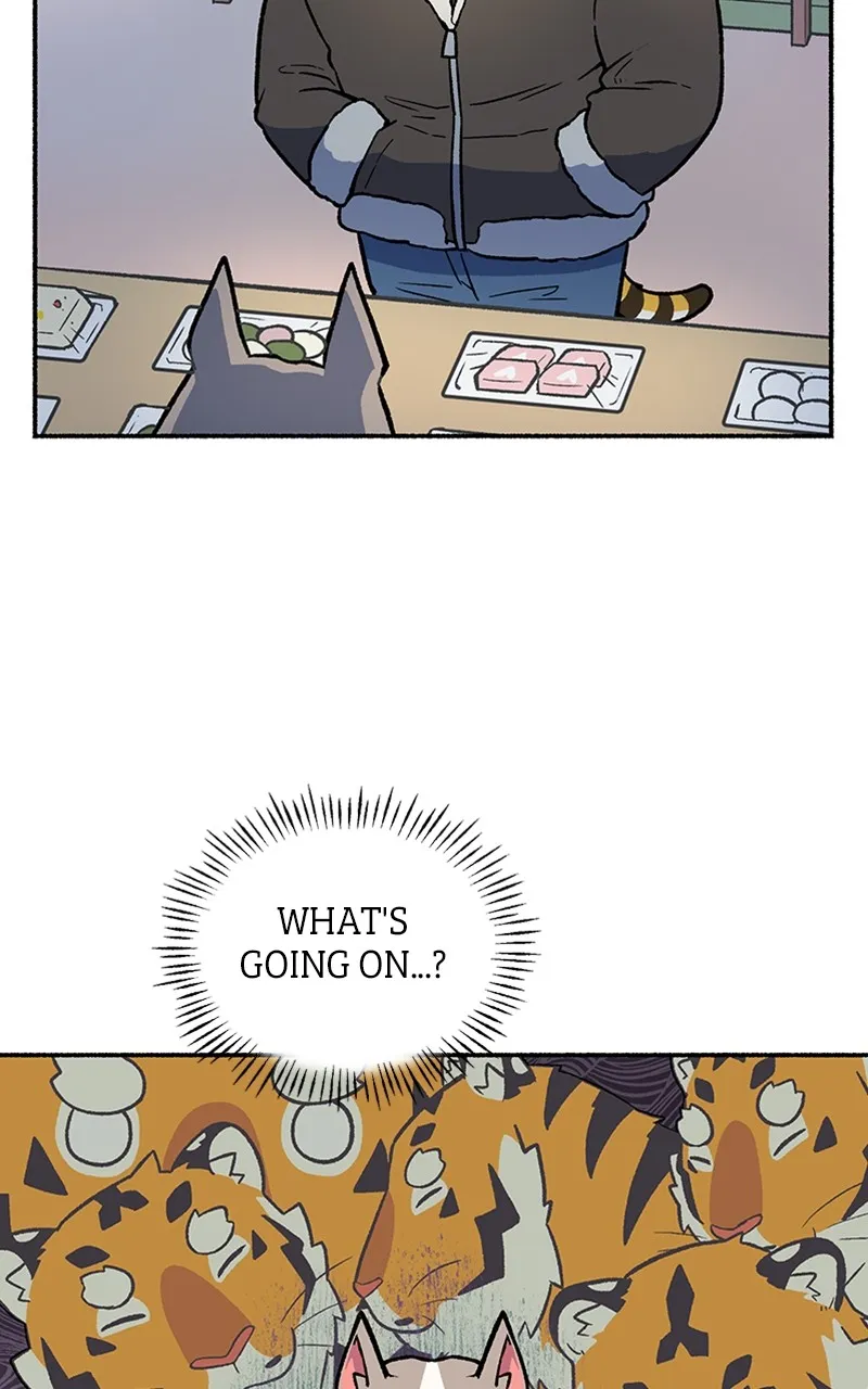 Read Mr. Tiger