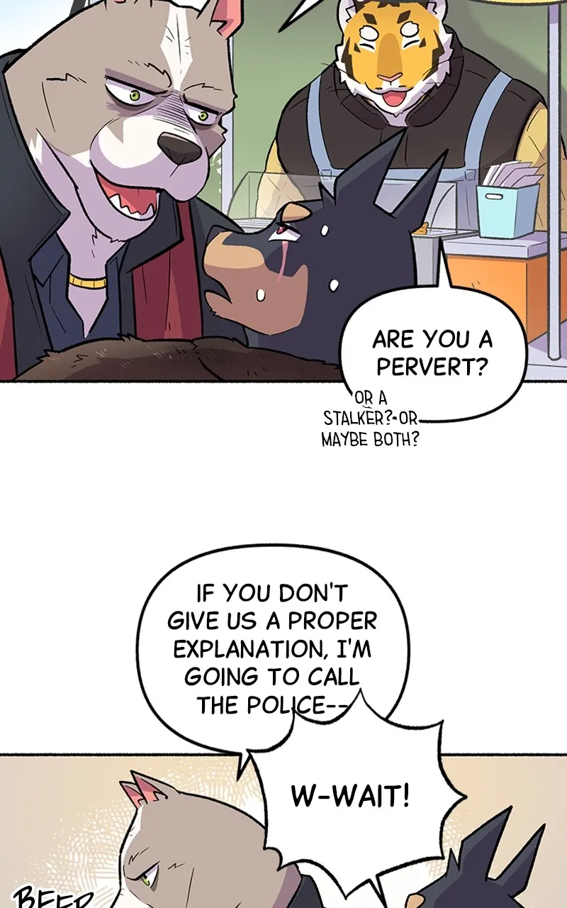 Read Mr. Tiger