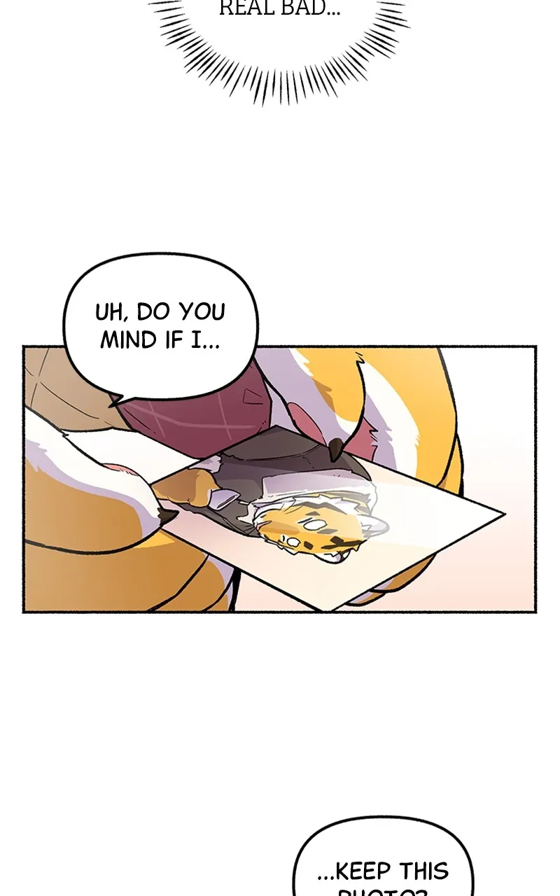 Read Mr. Tiger