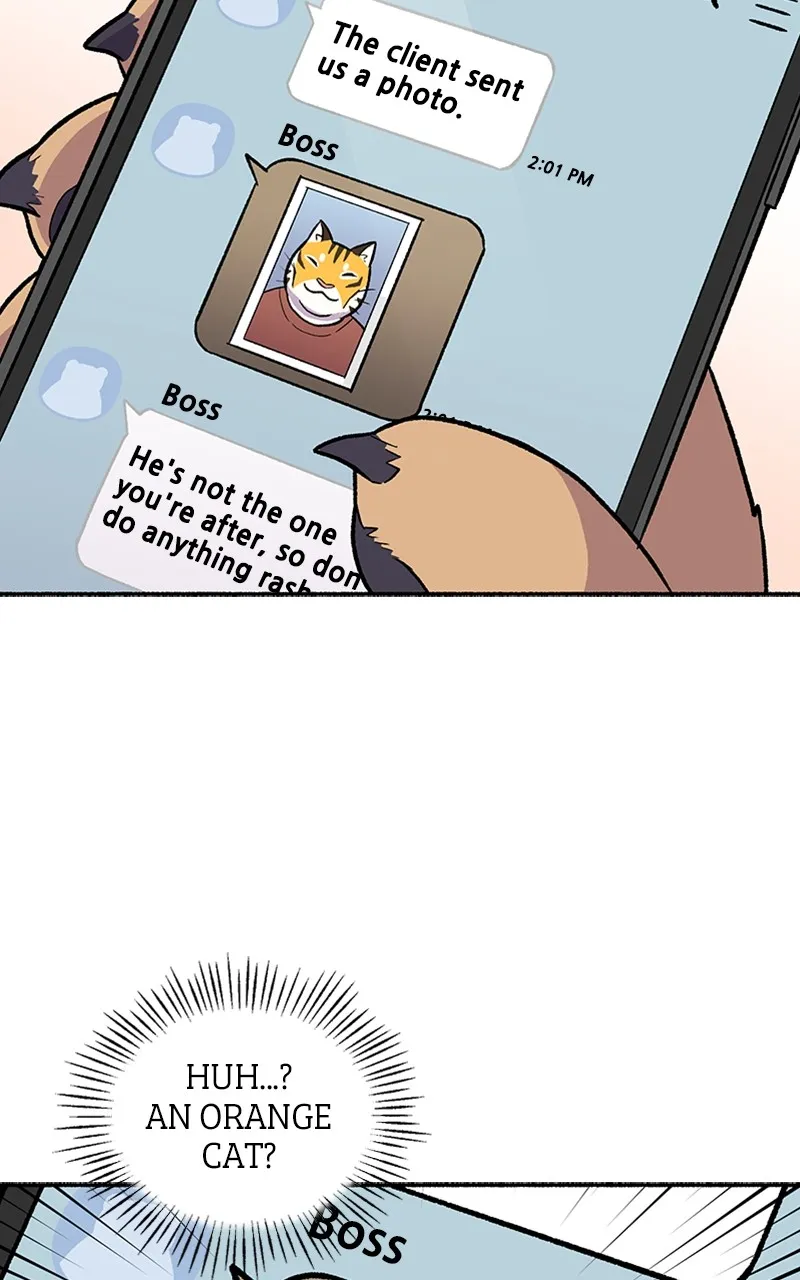 Read Mr. Tiger