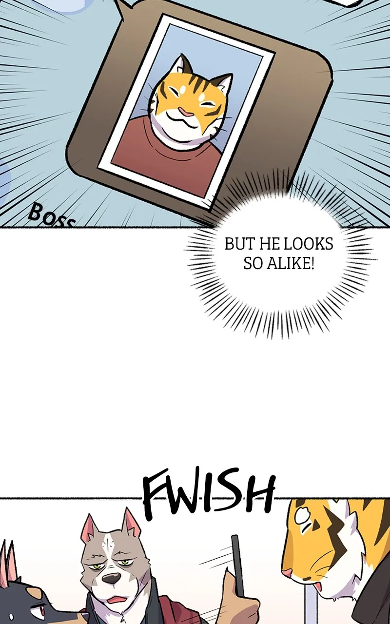 Read Mr. Tiger
