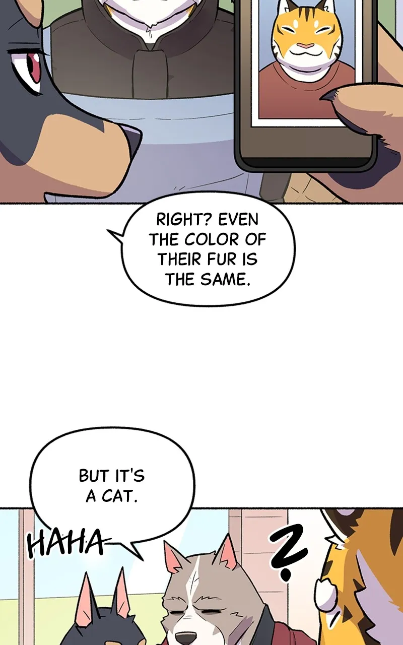 Read Mr. Tiger