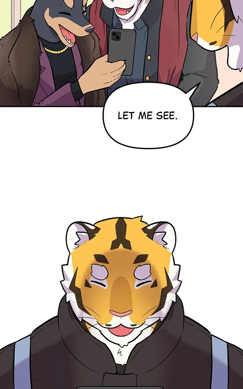 Read Mr. Tiger