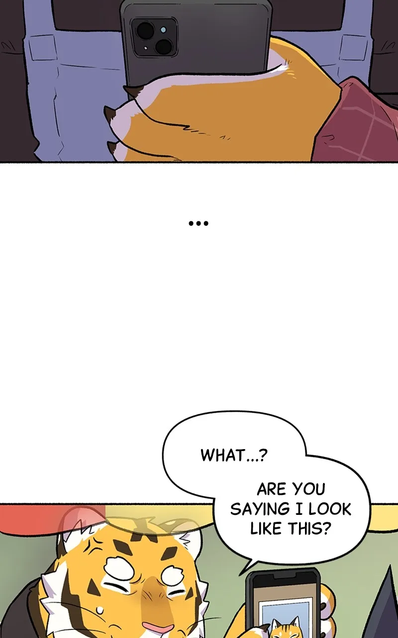 Read Mr. Tiger